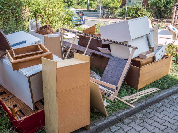 Professional Junk Removal  in Anoka, MN